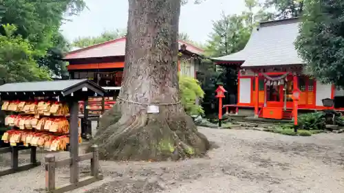 冠稲荷神社(群馬県)