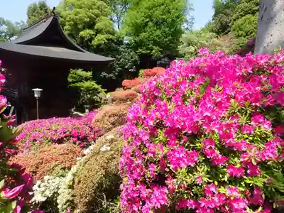 等覚院(神奈川県)