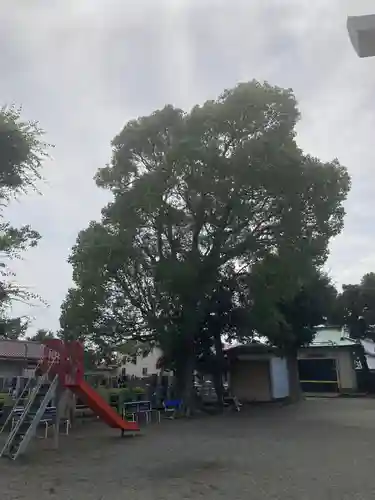 本社宮(神奈川県)