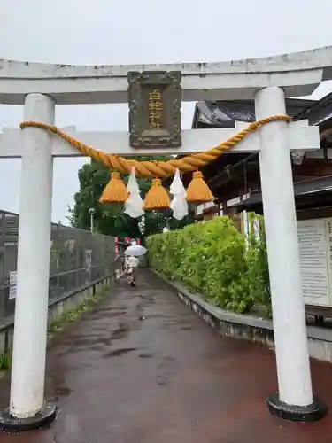 岩国白蛇神社の鳥居