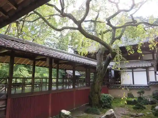 十輪寺(京都府)