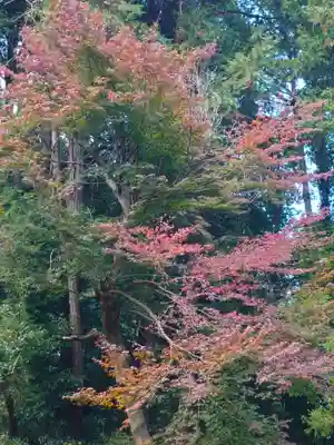 舞岡八幡宮(神奈川県)