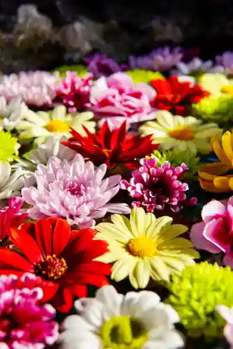 伊達神社の手水舎