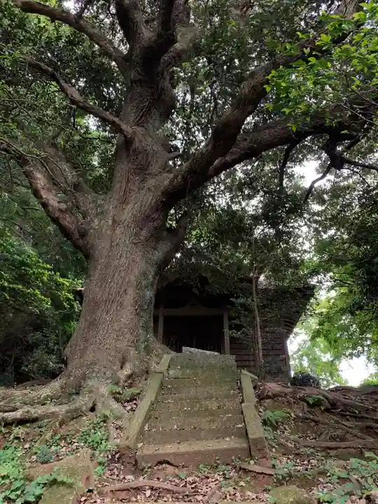 愛宕神社(千葉県)