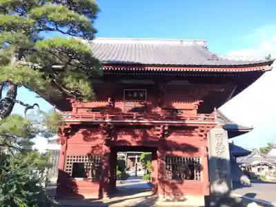 徳願寺の山門・神門