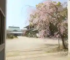 温泉山 安楽寺(四国霊場第六番札所)の自然