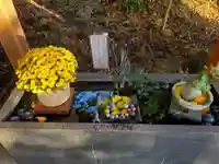 下野 星宮神社(栃木県)