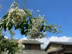 白鳥神社(長野県)