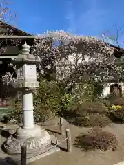 薬師院(神奈川県)