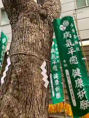 少彦名神社の自然