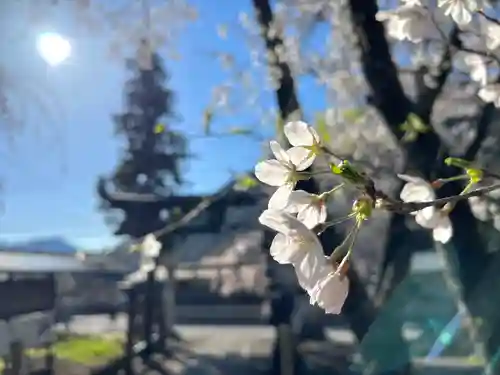 山家神社の自然