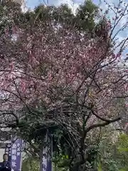 牛天神北野神社の庭園