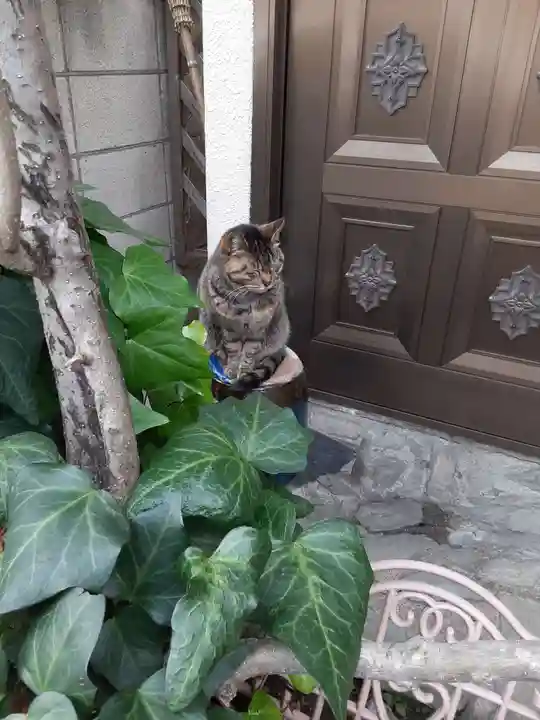居木神社の動物