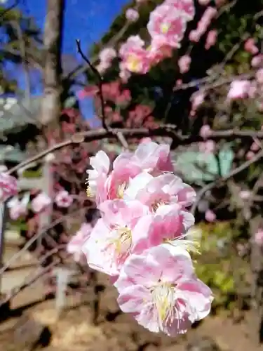 布多天神社(東京都)