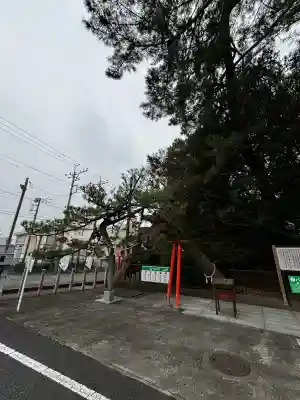 玉村八幡宮の{uncategorized: "未分類", other: "その他", undefined: "問題あり", building: "その他建物", grave: "お墓", sacred_gate: "鳥居", guardian: "狛犬", statue: "像", buddha: "仏像", history: "歴史", nature: "自然", garden: "庭園", animal: "動物", pagoda: "塔", temizu: "手水舎", mountain_gate: "山門・神門", sanctuary: "本殿・本堂", subordinate: "末社・摂社", art: "芸術", scenery: "景色", jizo: "地蔵", ema: "絵馬", goshuin: "御朱印", omikuji: "おみくじ", items: "授与品その他", amulet: "お守り", goshuincho: "御朱印帳", eats: "食事", festival: "お祭り", votive_dance: "神楽", shichigosan: "七五三参", wedding: "結婚式", experience: "体験その他", initially: "初詣", around: "周辺", anti_infection: "感染症対策"}