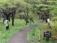 榛名富士山神社の{uncategorized: "未分類", other: "その他", undefined: "問題あり", building: "その他建物", grave: "お墓", sacred_gate: "鳥居", guardian: "狛犬", statue: "像", buddha: "仏像", history: "歴史", nature: "自然", garden: "庭園", animal: "動物", pagoda: "塔", temizu: "手水舎", mountain_gate: "山門・神門", sanctuary: "本殿・本堂", subordinate: "末社・摂社", art: "芸術", scenery: "景色", jizo: "地蔵", ema: "絵馬", goshuin: "御朱印", omikuji: "おみくじ", items: "授与品その他", amulet: "お守り", goshuincho: "御朱印帳", eats: "食事", festival: "お祭り", votive_dance: "神楽", shichigosan: "七五三参", wedding: "結婚式", experience: "体験その他", initially: "初詣", around: "周辺", anti_infection: "感染症対策"}