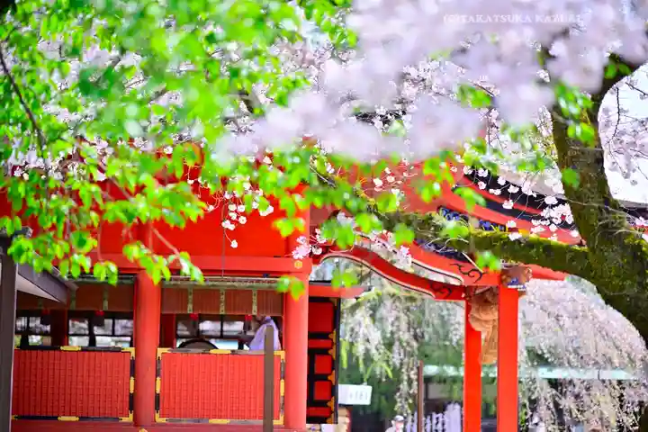 富士山本宮浅間大社(静岡県)