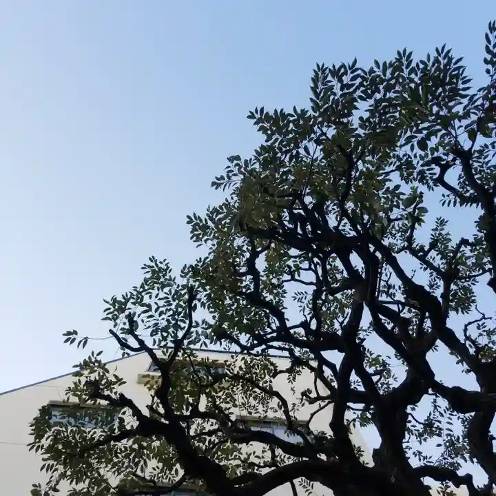 松坂稲荷大明神の自然