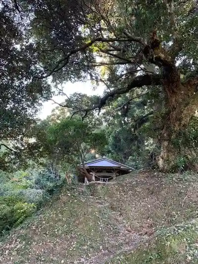 日吉神社の建物その他