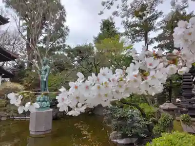 観音寺（世田谷山観音寺）(東京都)