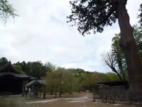 弘経寺(茨城県)