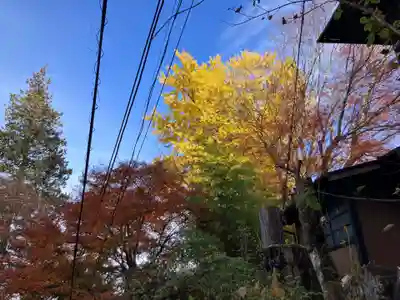 武蔵御嶽神社(東京都)