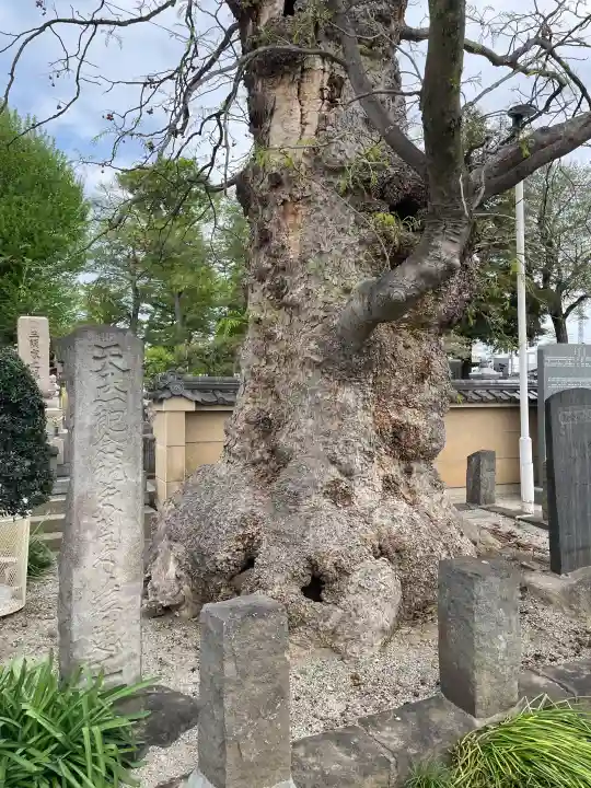 多聞寺の{uncategorized: "未分類", other: "その他", undefined: "問題あり", building: "その他建物", grave: "お墓", sacred_gate: "鳥居", guardian: "狛犬", statue: "像", buddha: "仏像", history: "歴史", nature: "自然", garden: "庭園", animal: "動物", pagoda: "塔", temizu: "手水舎", mountain_gate: "山門・神門", sanctuary: "本殿・本堂", subordinate: "末社・摂社", art: "芸術", scenery: "景色", jizo: "地蔵", ema: "絵馬", goshuin: "御朱印", omikuji: "おみくじ", items: "授与品その他", amulet: "お守り", goshuincho: "御朱印帳", eats: "食事", festival: "お祭り", votive_dance: "神楽", shichigosan: "七五三参", wedding: "結婚式", experience: "体験その他", initially: "初詣", around: "周辺", anti_infection: "感染症対策"}