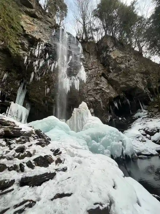 上尾御嶽神社の自然