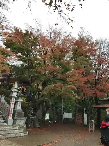 大山阿夫利神社の景色