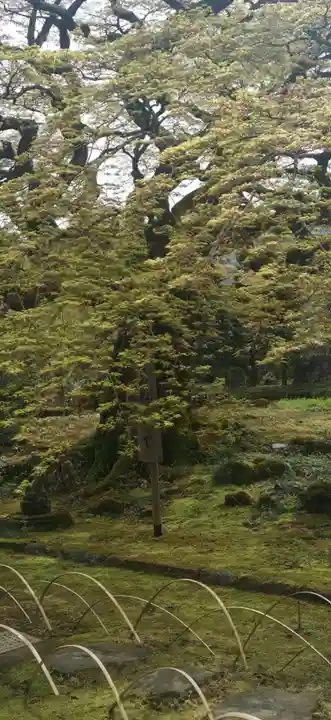 西善寺(埼玉県)