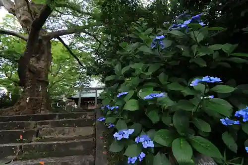 愛宕神社の庭園