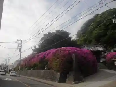 安養院　(田代寺）の周辺