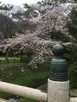 出雲大社の自然