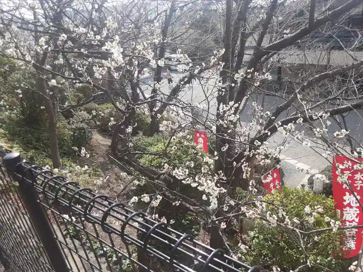 大船観音寺(神奈川県)