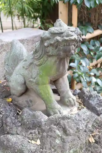 駒込天祖神社の狛犬