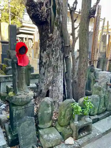 浄正寺の{uncategorized: "未分類", other: "その他", undefined: "問題あり", building: "その他建物", grave: "お墓", sacred_gate: "鳥居", guardian: "狛犬", statue: "像", buddha: "仏像", history: "歴史", nature: "自然", garden: "庭園", animal: "動物", pagoda: "塔", temizu: "手水舎", mountain_gate: "山門・神門", sanctuary: "本殿・本堂", subordinate: "末社・摂社", art: "芸術", scenery: "景色", jizo: "地蔵", ema: "絵馬", goshuin: "御朱印", omikuji: "おみくじ", items: "授与品その他", amulet: "お守り", goshuincho: "御朱印帳", eats: "食事", festival: "お祭り", votive_dance: "神楽", shichigosan: "七五三参", wedding: "結婚式", experience: "体験その他", initially: "初詣", around: "周辺", anti_infection: "感染症対策"}
