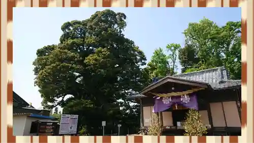 九重神社(埼玉県)