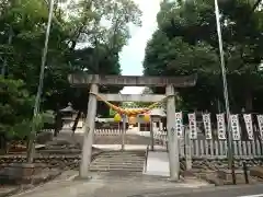 藤井神社（追分藤井神社）の鳥居