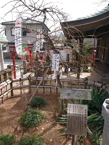 川越八幡宮の庭園