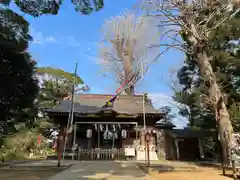 麻賀多神社(千葉県)