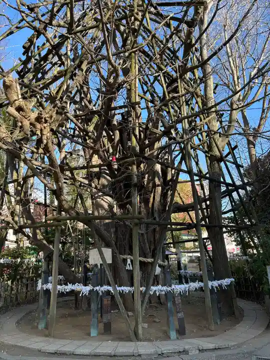 稲毛神社(神奈川県)