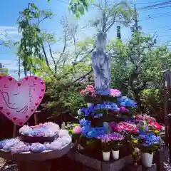 四季桜の寺 妙乗院(愛知県)