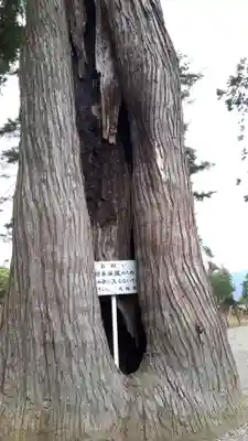 毛越寺(岩手県)