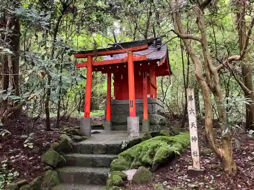 箱根神社(神奈川県)