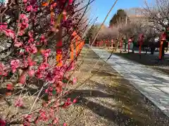 朝日森天満宮(栃木県)