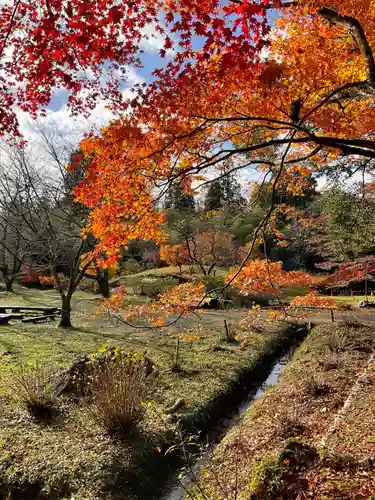 鶏足寺(滋賀県)