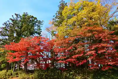 東館稲荷神社の景色