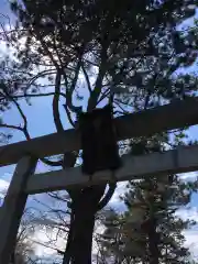 篠路神社(北海道)