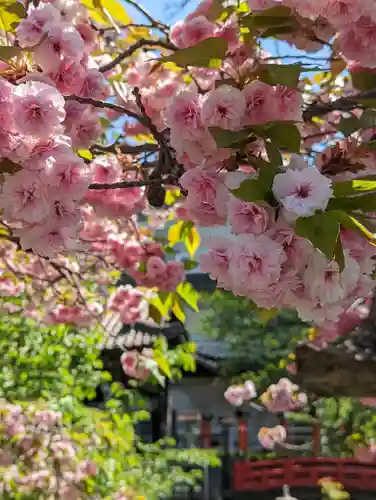六孫王神社(京都府)