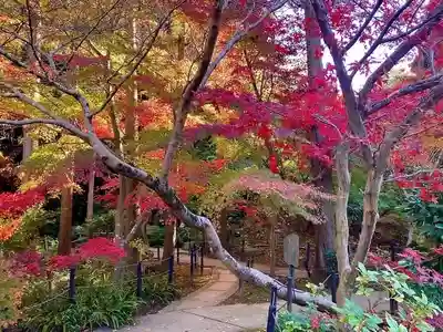 本土寺(千葉県)